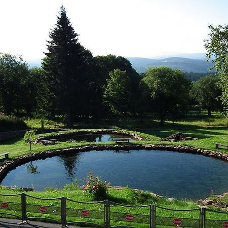 Hotel Alpska Vyhlidka Kvilda Kültér fotó