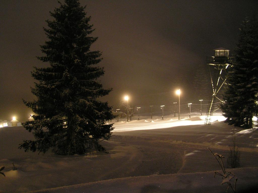 Hotel Alpska Vyhlidka Kvilda Kültér fotó